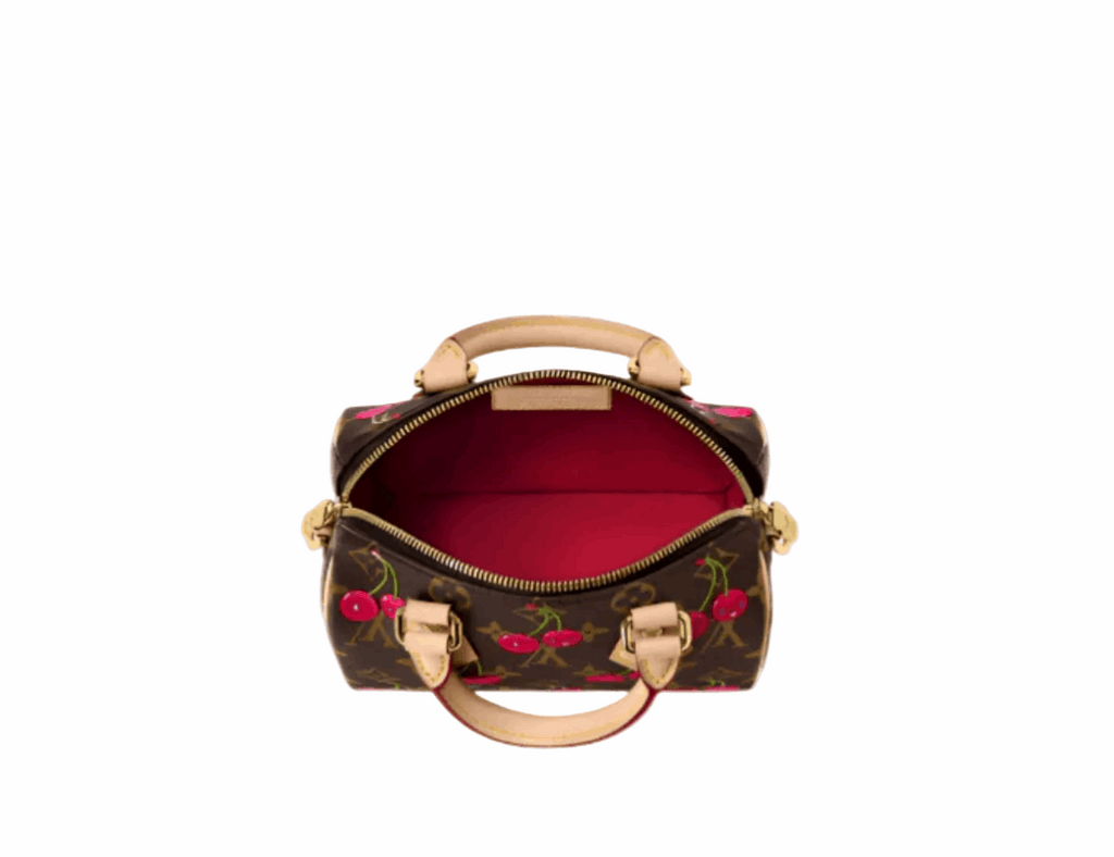 Lv speedy bag