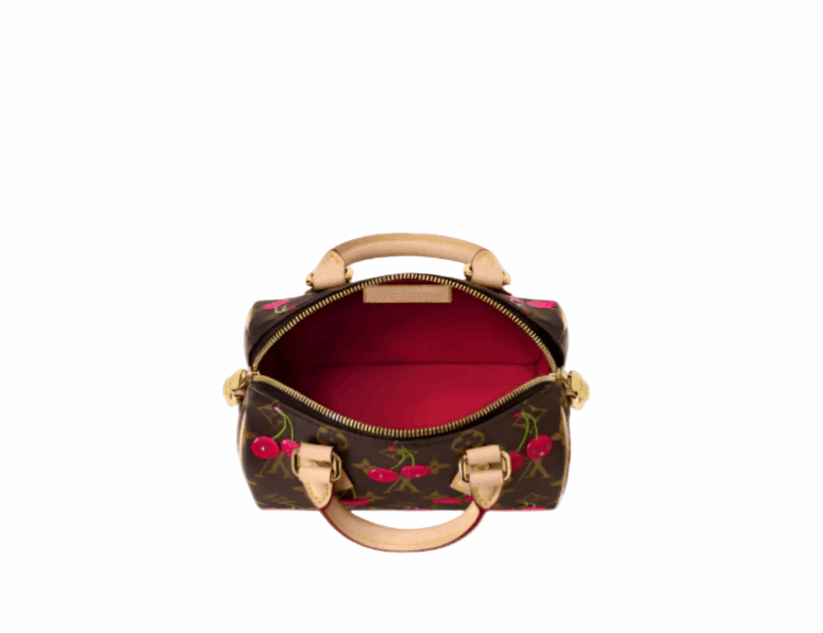 Lv speedy bag
