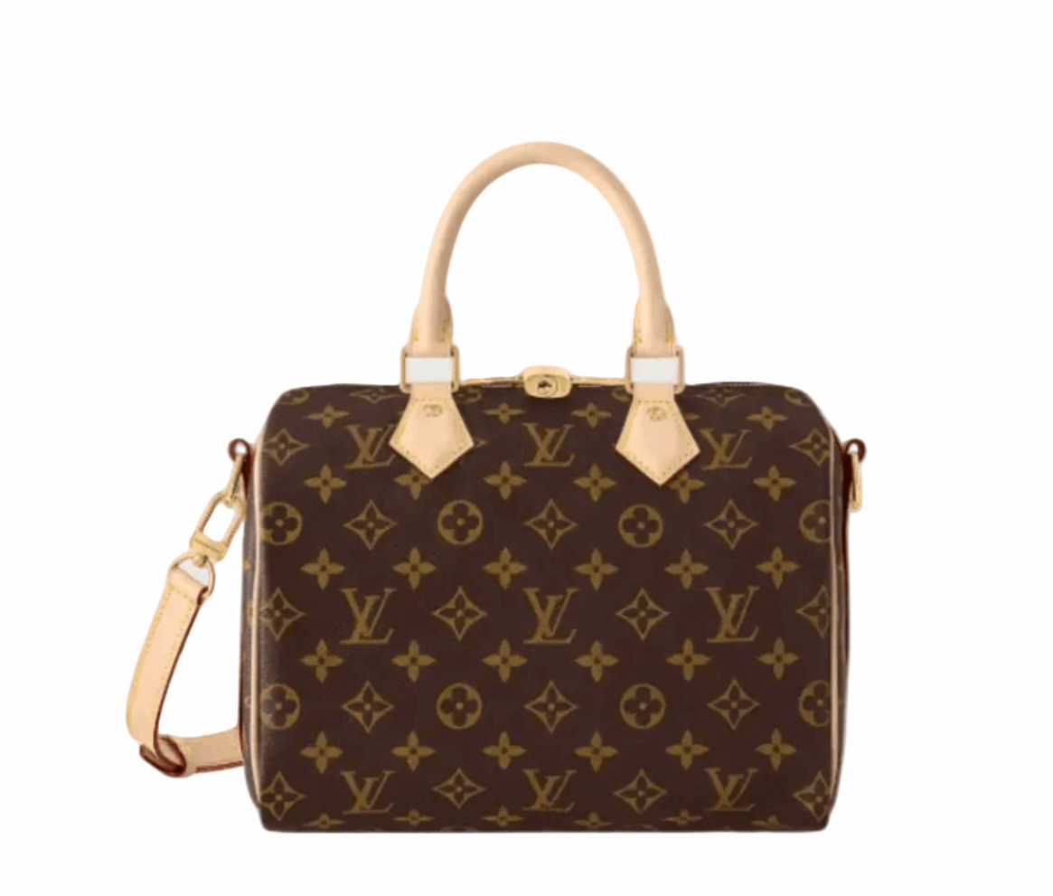 Lv medium speedy bag