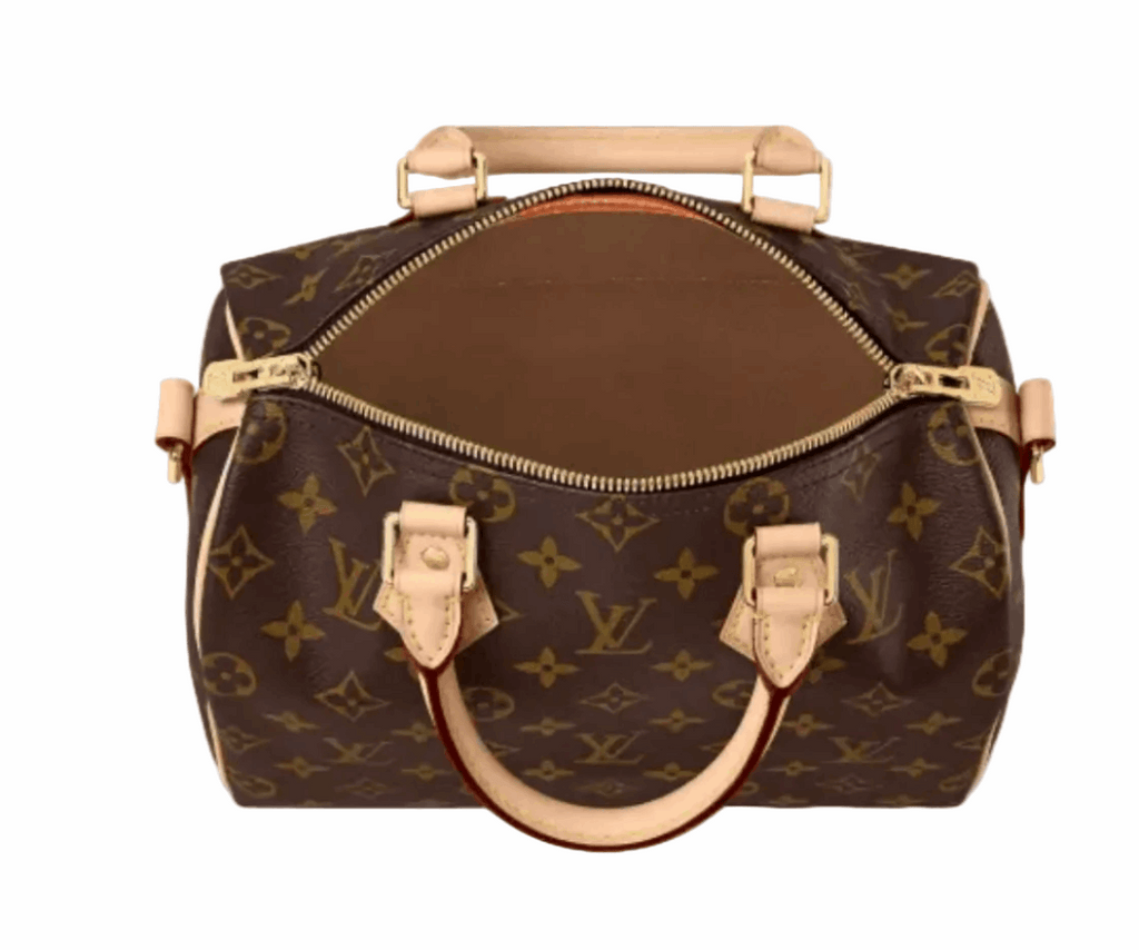 Lv medium speedy bag