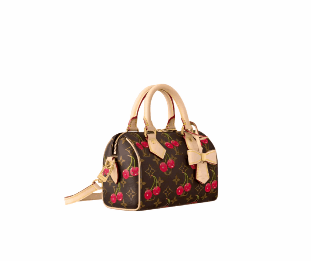 Lv speedy bag