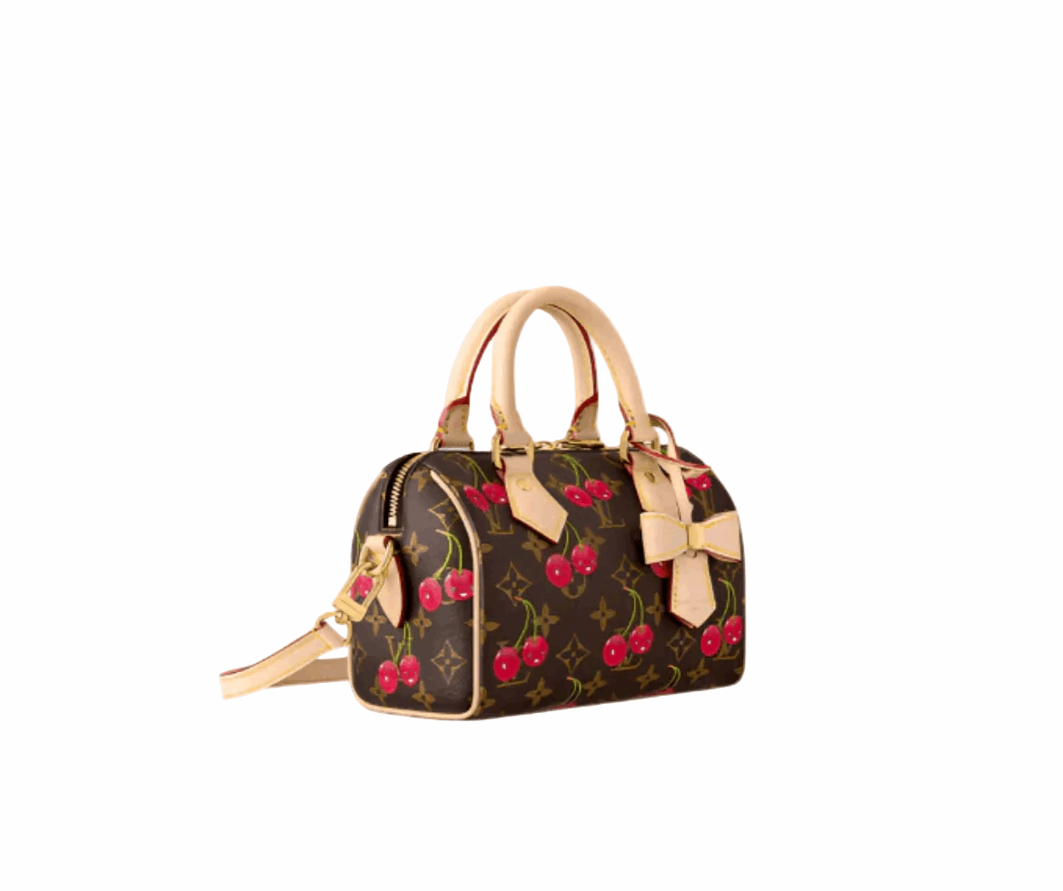 Lv speedy bag