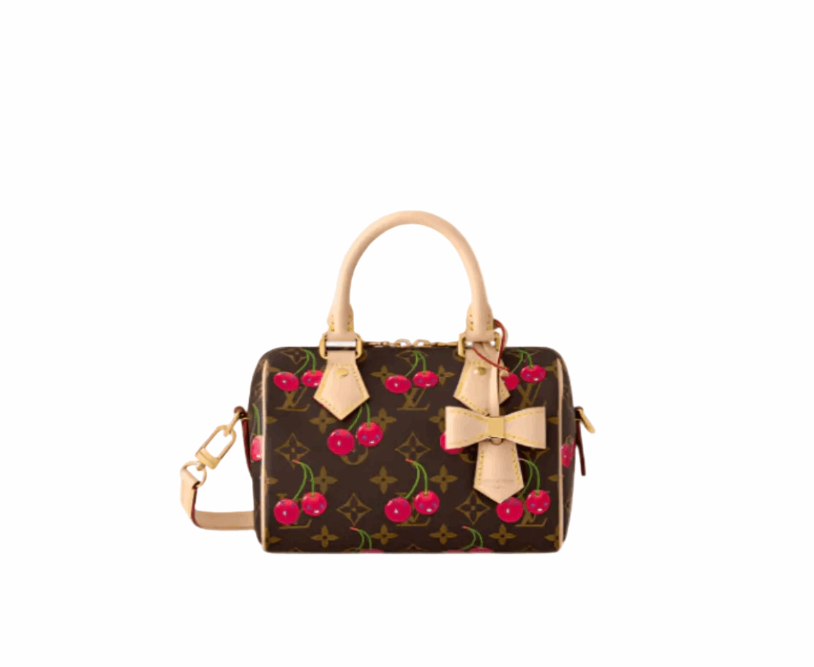 Lv speedy bag
