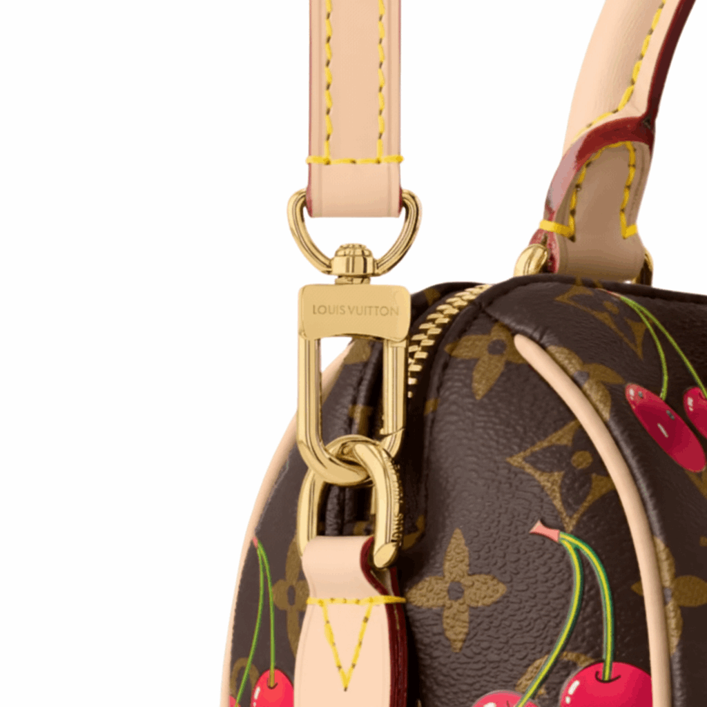 Lv speedy bag