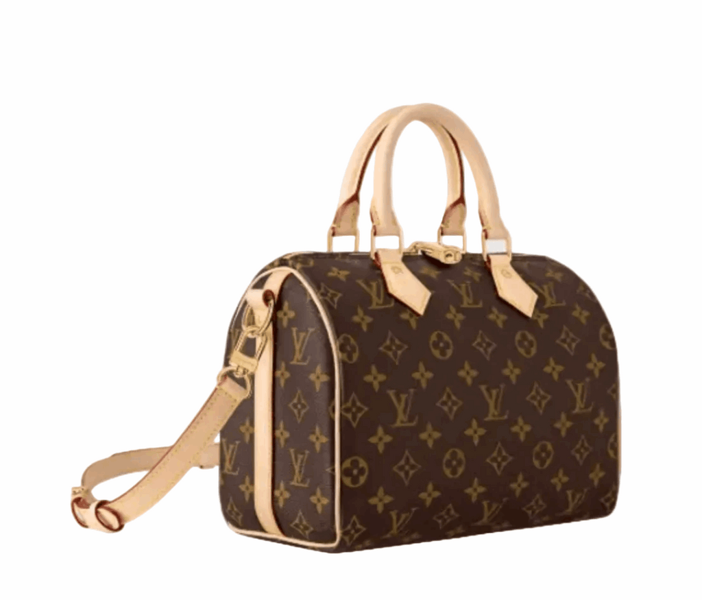 Lv medium speedy bag